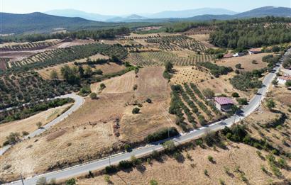 Muğla Yatağan'da Yola Cepheli Satılık Arazi