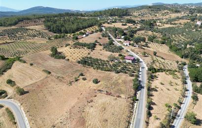 Muğla Yatağan'da Yola Cepheli Satılık Arazi
