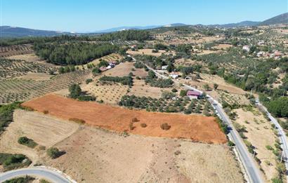 Muğla Yatağan'da Yola Cepheli Satılık Arazi