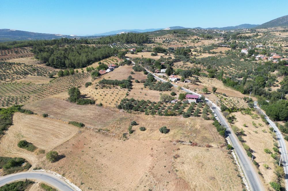 Muğla Yatağan'da Yola Cepheli Satılık Arazi