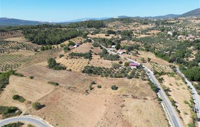 Muğla Yatağan'da Yola Cepheli Satılık Arazi