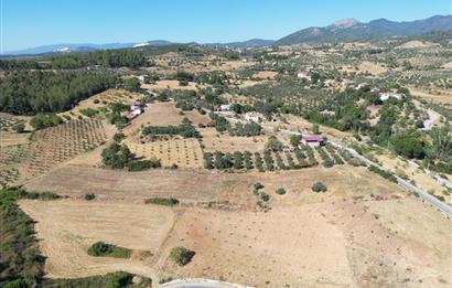 Muğla Yatağan'da Yola Cepheli Satılık Arazi