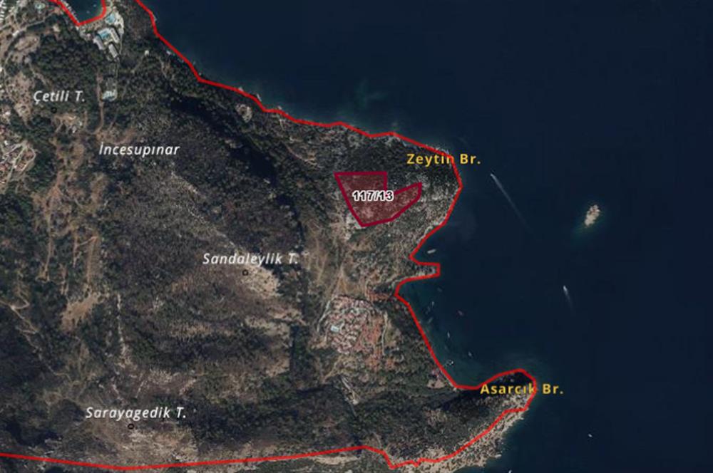 Marmaris Turunç’ta Deniz Manzaralı 990 m² Zeytinlik Hissesi Satılık