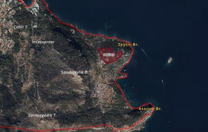 Marmaris Turunç’ta Deniz Manzaralı 990 m² Zeytinlik Hissesi Satılık