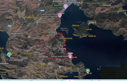 Marmaris Turunç’ta Deniz Manzaralı 990 m² Zeytinlik Hissesi Satılık