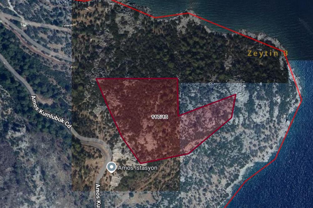 Marmaris Turunç’ta Deniz Manzaralı 990 m² Zeytinlik Hissesi Satılık