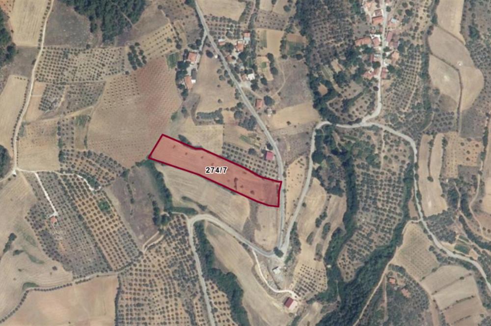 Muğla Yatağan'da Yola Cepheli Satılık Arazi