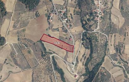 Muğla Yatağan'da Yola Cepheli Satılık Arazi