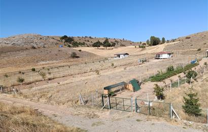 CENTURY 21 VİZYON'DAN ZEMZEMİYE'DE 1.408 m2 SATILIK BAHÇE