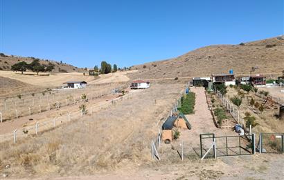 CENTURY 21 VİZYON'DAN ZEMZEMİYE'DE 1.408 m2 SATILIK BAHÇE