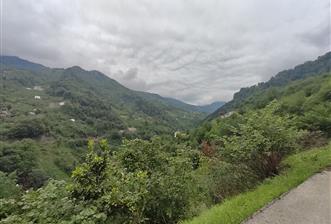 TRABZON MAÇKA'DA DOĞANIN İÇİNDE DÜZLÜĞÜ BULUNAN 3,7 DÖNÜM ARSA !