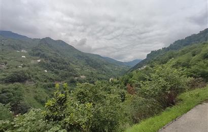 TRABZON MAÇKA'DA DOĞANIN İÇİNDE DÜZLÜĞÜ BULUNAN 3,7 DÖNÜM ARSA !
