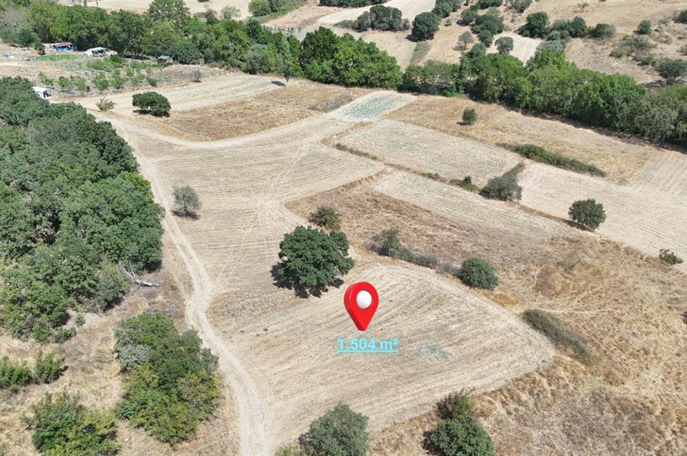 C21 WİNNER BALIKESİR KÖTEYLİ'DE 1.504 m²  SATILIK TARLA