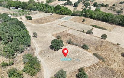 C21 WİNNER BALIKESİR KÖTEYLİ'DE 1.504 m²  SATILIK TARLA