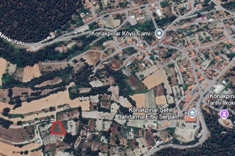 C21 LOCA'DAN KONAKPINAR'DA SATILIK TARLA