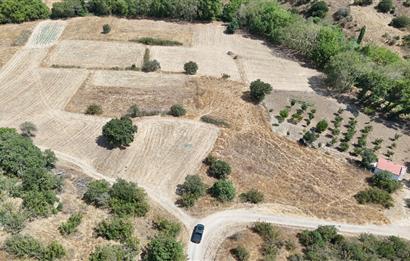 C21 WİNNER BALIKESİR KÖTEYLİ'DE 1.504 m²  SATILIK TARLA