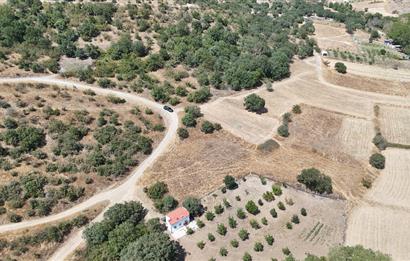C21 WİNNER BALIKESİR KÖTEYLİ'DE 1.504 m²  SATILIK TARLA