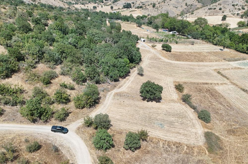 C21 WİNNER BALIKESİR KÖTEYLİ'DE 1.504 m²  SATILIK TARLA