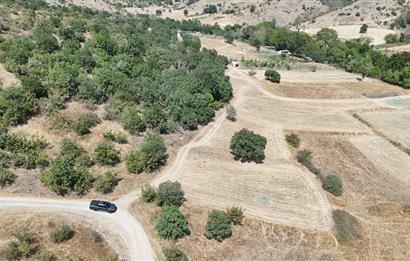 C21 WİNNER BALIKESİR KÖTEYLİ'DE 1.504 m²  SATILIK TARLA