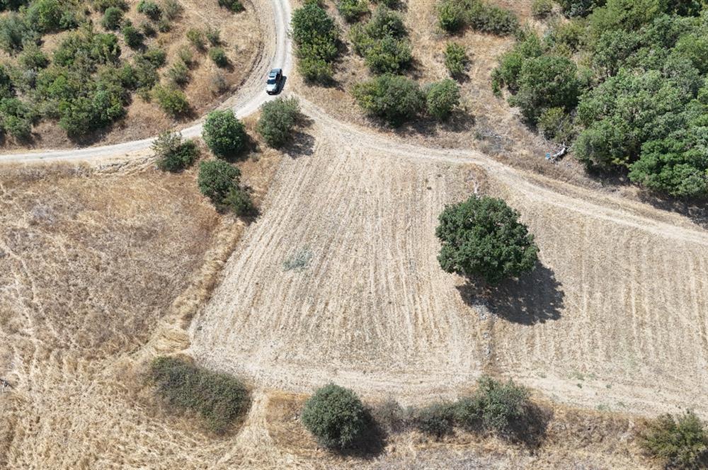 C21 WİNNER BALIKESİR KÖTEYLİ'DE 1.504 m²  SATILIK TARLA