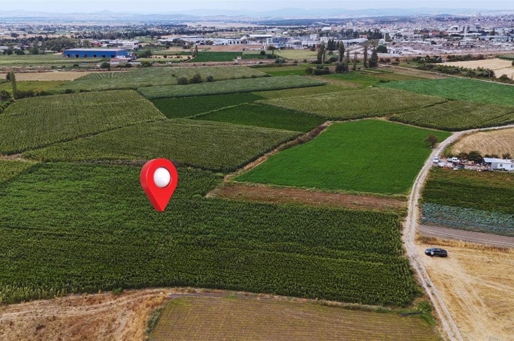 C21 WİNNER GÜMÜŞÇEŞME MAHALLESİ 9.544 m² SATILIK TARLA