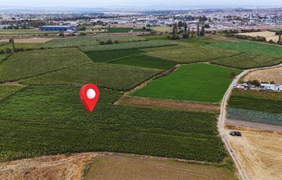 C21 WİNNER GÜMÜŞÇEŞME MAHALLESİ 9.544 m² SATILIK TARLA