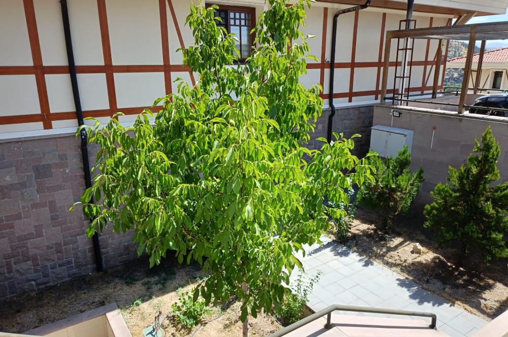 KUZEYKENT'TE 6+1 TERASLI SAUNALI BAHÇE İÇİNDE MUHTEŞEM VİLLA