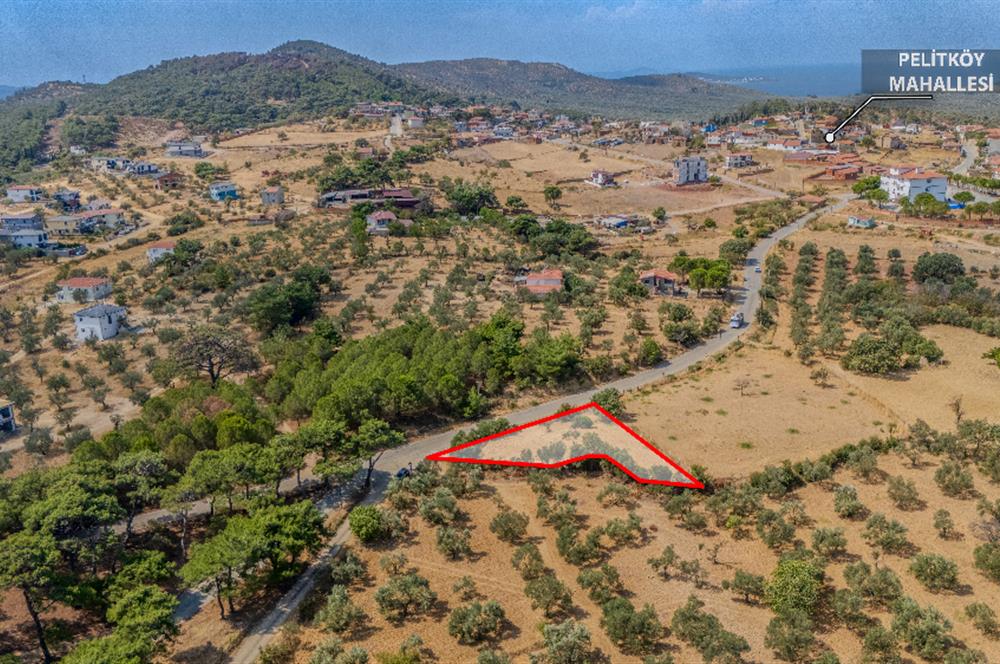 CENTURY21 LOCA GAYRİMENKULDEN