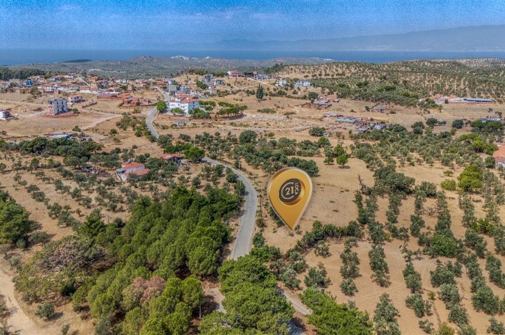 CENTURY21 LOCA GAYRİMENKULDEN