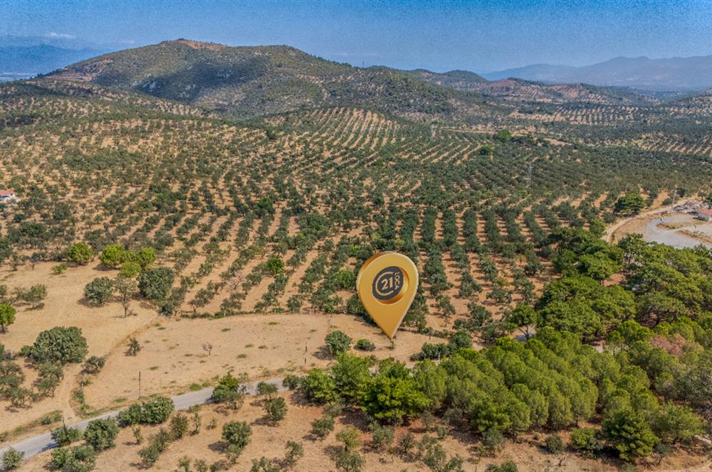 CENTURY21 LOCA GAYRİMENKULDEN
