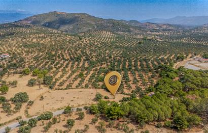 CENTURY21 LOCA GAYRİMENKULDEN