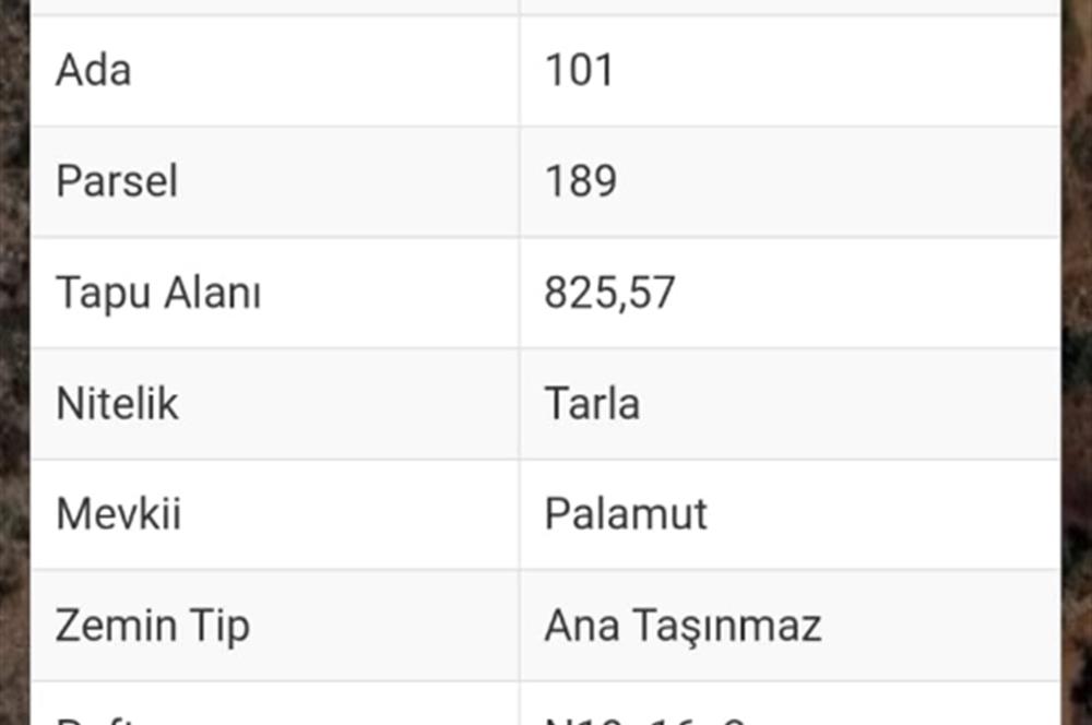 Milas-Fesleğen yaylasında acil satılık fırsat tarla