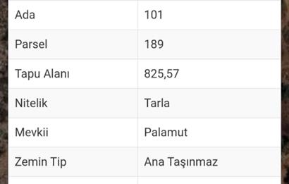 Milas-Fesleğen yaylasında acil satılık fırsat tarla