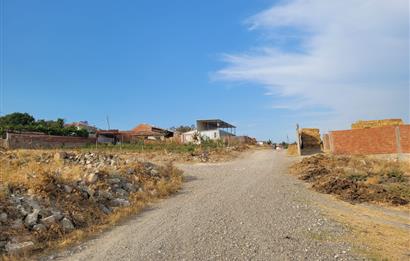 CENTURY21 BAL'DAN KÖYLÜKÖY'DE SATILIK 3475 M2 TARLA