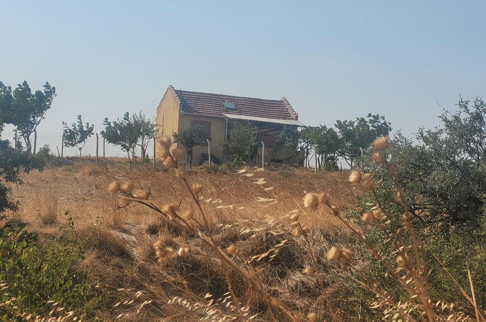 CENTURY21 BAL'DAN KÖYLÜKÖY'DE SATILIK 3475 M2 TARLA