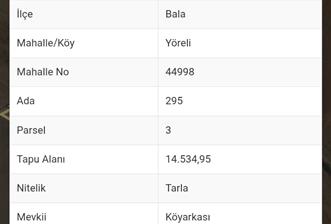 ANKARA BALA YÖRELİ MAHALLESİ'İNDE SATILIK BAHCE 