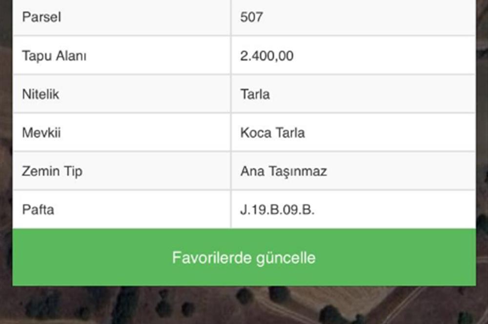 C21 BAL'DAN AKÇAKÖY MH. 2.400 M2 SATILIK TARLA