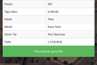 C21 BAL'DAN AKÇAKÖY MH. 2.400 M2 SATILIK TARLA