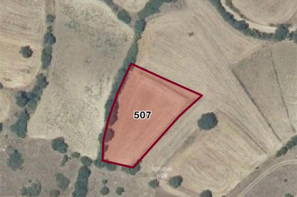 C21 BAL'DAN AKÇAKÖY MH. 2.400 M2 SATILIK TARLA
