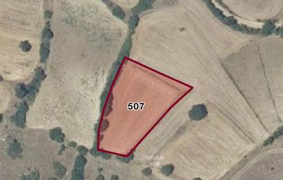 C21 BAL'DAN AKÇAKÖY MH. 2.400 M2 SATILIK TARLA