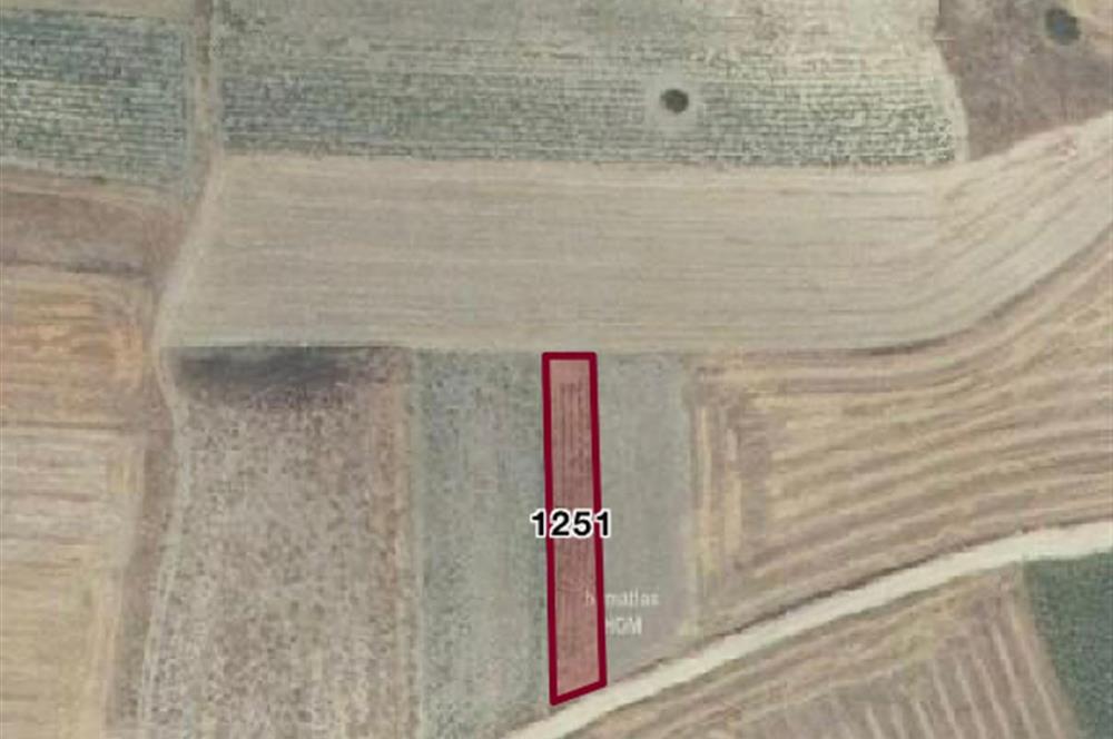 C21 BAL'DAN NERGİZ MAH. 525 m2 SATILIK TARLA