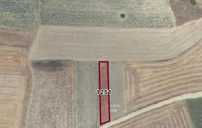 C21 BAL'DAN NERGİZ MAH. 525 m2 SATILIK TARLA