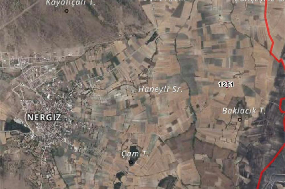 C21 BAL'DAN NERGİZ MAH. 525 m2 SATILIK TARLA