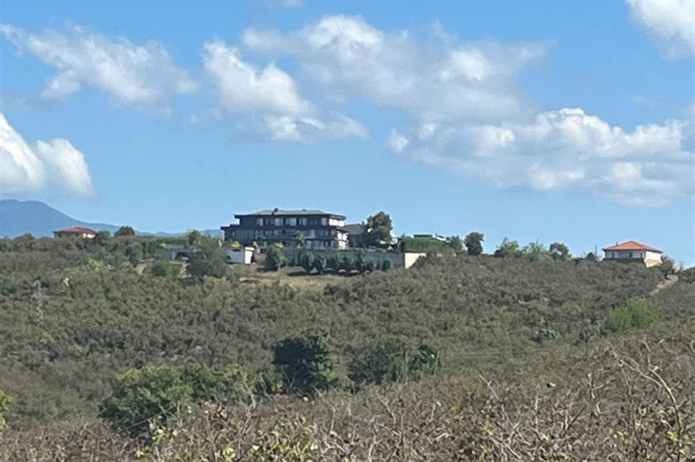 SAKARYA KOCAALİ'DE KARADENİZ MANZARALI YATIRIMLIK SATILIK BAHÇE