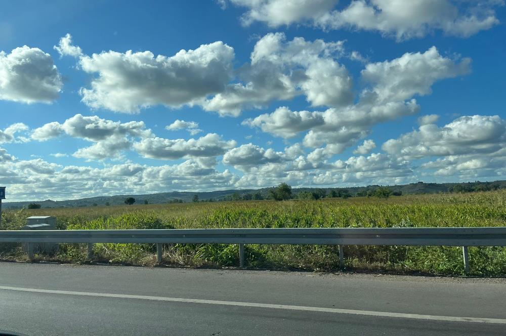 SAKARYA KOCAALİ'DE KARADENİZ MANZARALI YATIRIMLIK SATILIK BAHÇE