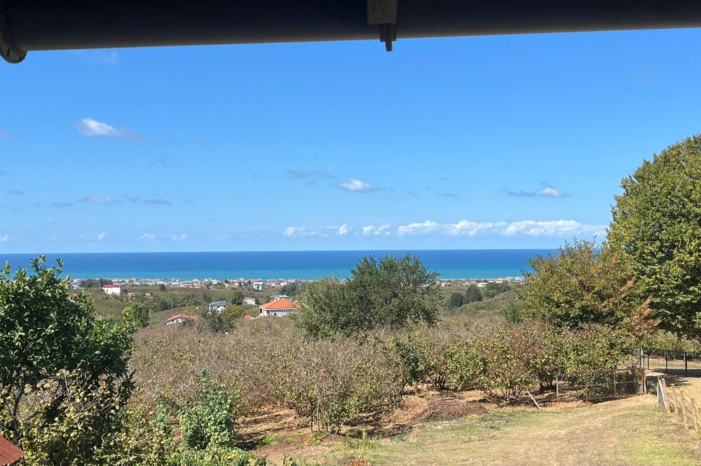 SAKARYA KOCAALİ'DE KARADENİZ MANZARALI YATIRIMLIK SATILIK BAHÇE