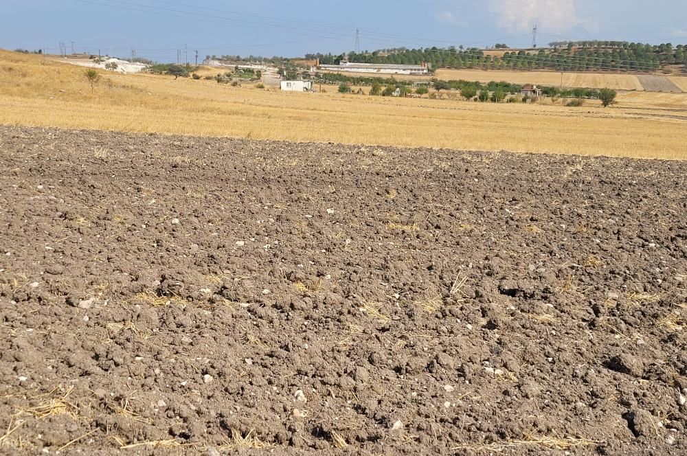 CENTURY21 BAL'DAN KÖYLÜKÖY'DE SATILIK 3475 M2 TARLA