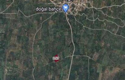 Bursa Orhangazi Bıngıldak’ta Nektarin ve Meyve Bahçesi