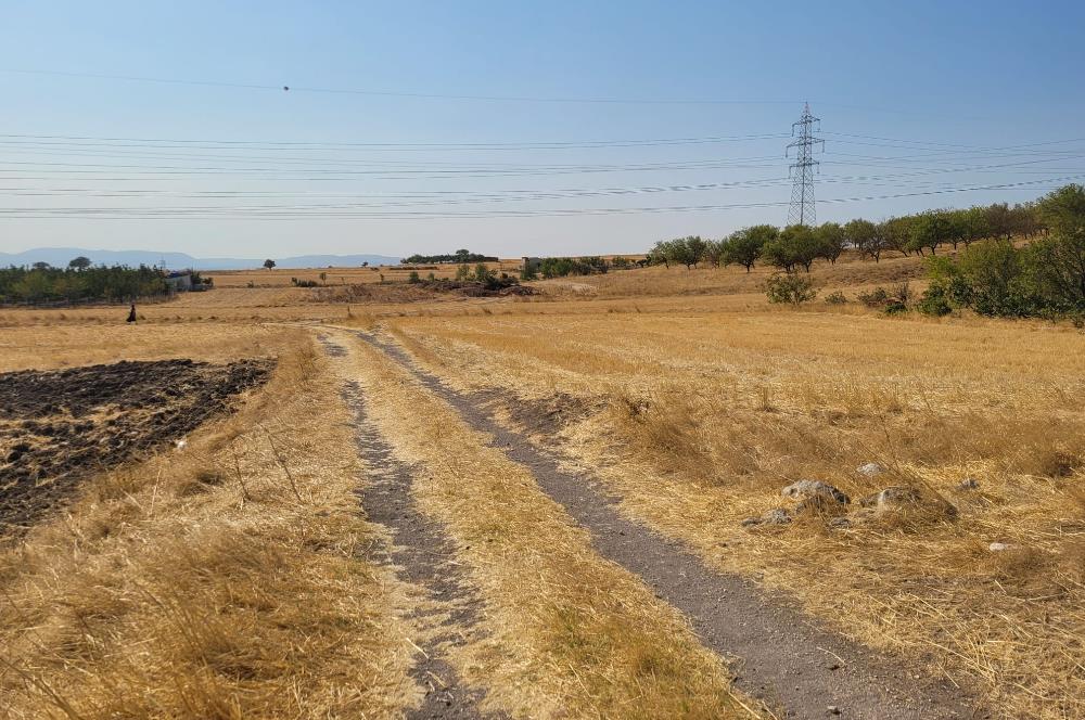 CENTURY21 BAL'DAN KÖYLÜKÖY'DE SATILIK 3475 M2 TARLA