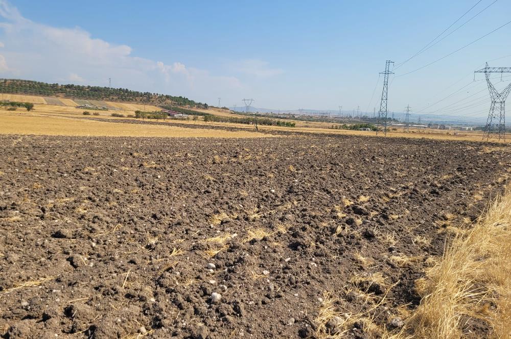 CENTURY21 BAL'DAN KÖYLÜKÖY'DE SATILIK 3475 M2 TARLA